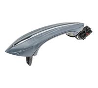 NTY Maniglia Posteriore Sinistra per BMW 5er Touring F11 520d 530d Xdrive