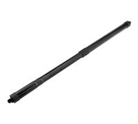 NTY Molle a Gas Portellone Posteriore Destra Adatto per Honda Cr-V Rw _ Rt _ 2.0