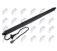 NTY Motore Elettrico Per Cofano Posteriore AE-FR-083 Per Ford