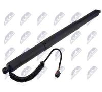 NTY Motore Elettrico Per Portellone Posteriore AE-KA-040 Sinistra