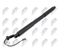 NTY Motore Elettrico Per Portellone Posteriore DX AE-PE-049 585mm