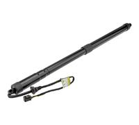 NTY Motore Elettrico Portellone Posteriore Sinistra per Ford Gran C-Max / CB7