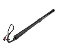 NTY Motore elettrico, Cofano posteriore