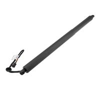 NTY Motore Elettrico Portellone Posteriore Sinistra per Land Rover Range Ly _
