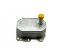 NTY Olio-Raffreddatore Per Ford Transit 2.2 TDCi 2.4 TDCi 2006- Nuovo