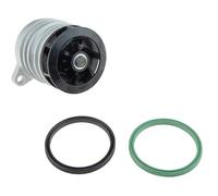 NTY Pompa dell’acqua, raffreddamento motore compatibile con VW VAG CPW-VW-038