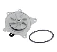 NTY Pompa Dell'Acqua Con Guarnizione Per Chrysler Voyager IV 3.3 Dodge Caravan