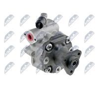Pompa servosterzo idraulico SPW-AU-002 NTY per AUDI VW PORSCHE