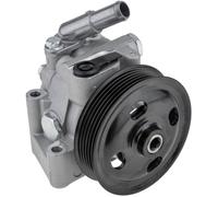 Pompa Del Servosterzo, Idraulica per Lenku Adatto Jaguar XF X250 3.0D 09 XJ X35