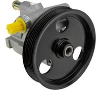 NTY Pompa Idraulica Sterzo Pompa Servosterzo Adatta Per Dacia Duster FS_ 1.5 DCI