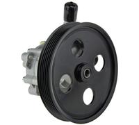 NTY Pompa Idraulica Sterzo Del Servosterzo Adatto A per Jeep Wrangler III 3.8