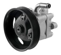 NTY Pompa servosterzo idraulica SPW-NS-008 per Nissan X-Trail T30 2.0/2.5 con puleggia multipla
