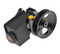 NTY Pompa Idraulica Sterzo Pompa Servosterzo Per Ssangyong Rexton GAB_ 2.7 XDi