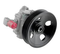 NTY Pompa Idraulica Sterzo Servo Pompa per Mercedes-Benz Classe M W163 ML 320