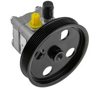 NTY Pompa Idraulica Sterzo Servopompa Per Volvo V70 II SW 2.4 D5 P80_ XC70