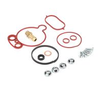 NTY PVP-VW-000 Kit riparazione, Pompa a depressione (Sistema frenante) per AUDI,