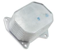 NTY Radiatore Olio Motore Per Ford Transit Custom Furgone 250 100 Multijet 2.2 D