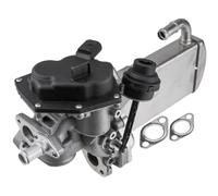 NTY Radiatore Ricircolo Gas per Audi A4 Avant 8K5 B8 2.0 Tdi A6 4G5 4GD C7