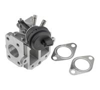 NTY Radiatore Ricircolo Gas per VW Passat Variant 3C5 2.0 Tdi 16V Golf V 1K1