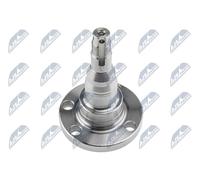 Mozzo ruota Assale posteriore KLT-VW-000P3 NTY per AUDI VW SEAT