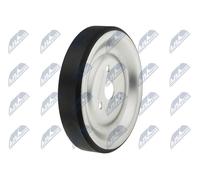 NTY RKP-CT-008 Rullo Di Rinvio/Guida Per Cinghia Scanalata Per BMW Citroën