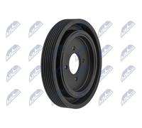 NTY RKP-PE-001 Puleggia cinghia, Albero a gomiti per BMW,CITROËN,FIAT,LANCIA,LAN
