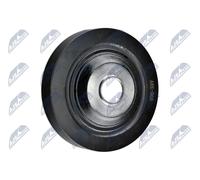 Puleggia albero motore RKP-RE-005 NTY per RENAULT MEGANE I Coach KANGOO CLIO II