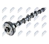 NTY Albero a camme compatibile con AUDI SEAT SKODA VW VAG RKZ-VW-001