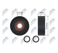 NTY RNK-BM-013 Rullo tenditore, Cinghia Poly-V per BMW