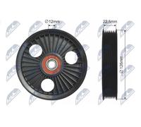 NTY RNK-CH-026 Galoppino/Guidacinghia, Cinghia Poly-V per CHRYSLER,DODGE,JEEP,PL