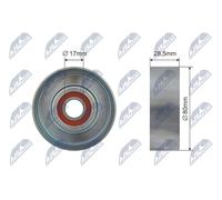 NTY Galoppino/Guidacinghia, Cinghia Poly-V compatibile con MITSUBISHI VOLVO