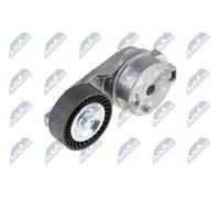 NTY RNK-CH-011 Rullo tenditore cinghia Poly-V
