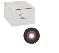 NTY RNK-FT-010 Rullo tenditore, Cinghia Poly-V per CHRYSLER,FIAT