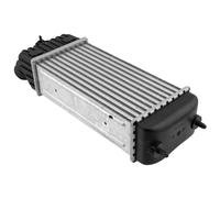 Radiatore intercooler CNG-CT-020 NTY per CITROËN C2