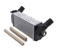 NTY Scambiatore Di Calore Adatto Per Ford Fiesta VI