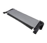 NTY Scambiatore Di Calore Adatto Per Ford Ranger TKE 2.2 TDCi 4x4