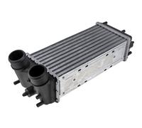 NTY Scambiatore Di Calore Adatto Per Ford Transit Courier Furgone