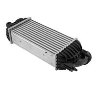NTY Scambiatore Di Calore Per Peugeot Expert Kasten VF3A_ VF3U_