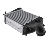 NTY Scambiatore Di Calore Per VW Golf IV Variant 1J5 1.9 TDI