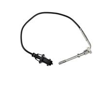 NTY Sensore temperatura gas di scarico EGT-FT-009 per FIAT, SUZUKI – 2 poli