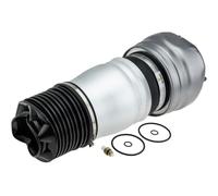 NTY Molla pneumatica, Autotelaio compatibile con PORSCHE VAG EZC-PS-009