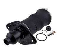 NTY Sospensione Pneumatica Ammortizzatori Posteriore Destra per Audi Allroad 4BH
