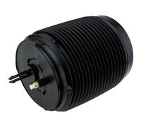 NTY Sospensione Pneumatica Ammortizzatori Posteriore Destra per Volvo XC60 II