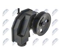 NTY Pompa idraulica, Sterzo compatibile con SPW-CH-035