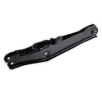 NTY Supporto, Braccio oscillante ZWT-CH-037