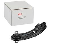 NTY Supporto, Braccio oscillante ZWT-CH-067