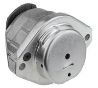 Supporto motore Sx Supporto idraulico ZPS-BM-023 NTY per BMW 5 5 Touring 6