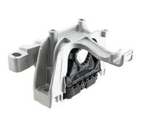 NTY Sospensione, Motore compatibile con SAURER VW VAG ZPS-VW-062