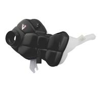 NTY Supporto Serbatoio Refrigerante Adatto A per MERCEDES-BENZ CLASSE S W221