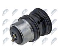 NTY Termostato Refrigerante CTM-WW-055 Per Porsche